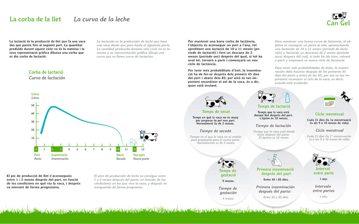 jaumeblanc-infografia-la-corva-de-la-llet